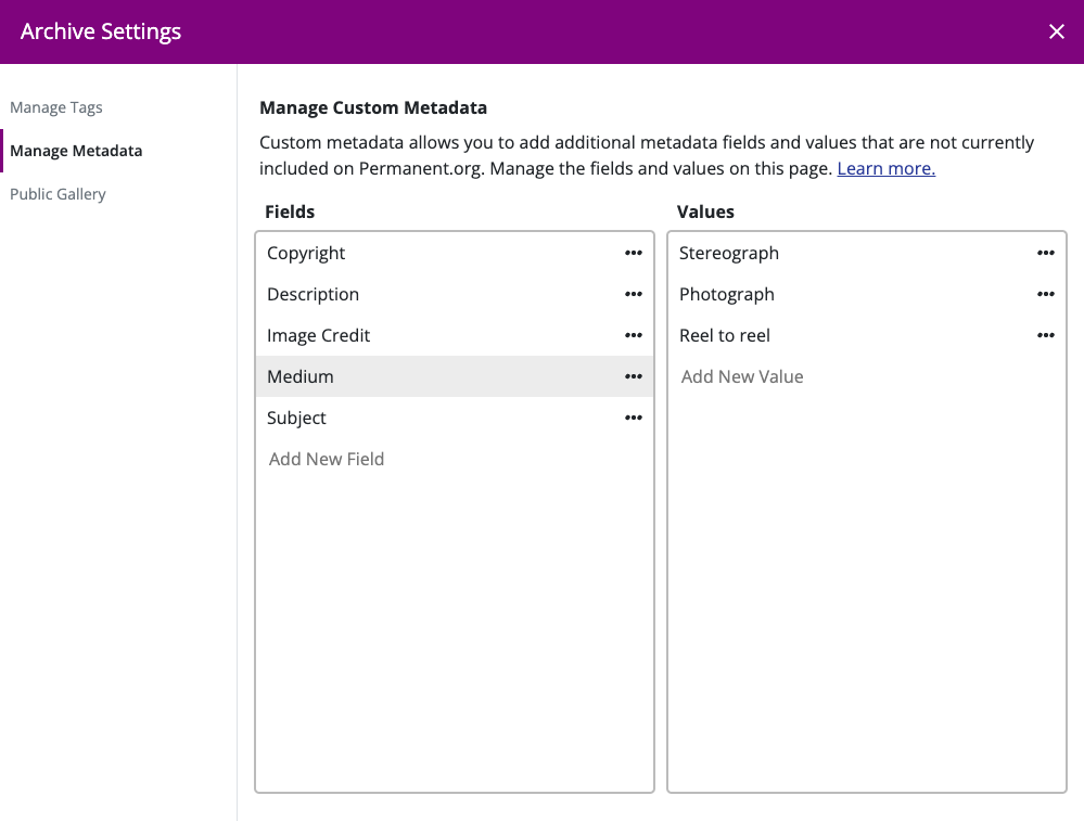 Metadata manager on Permanent.org. It contains two columns, one for metadata fields, and one for the values associated with the field.